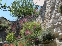 Depuis la rue